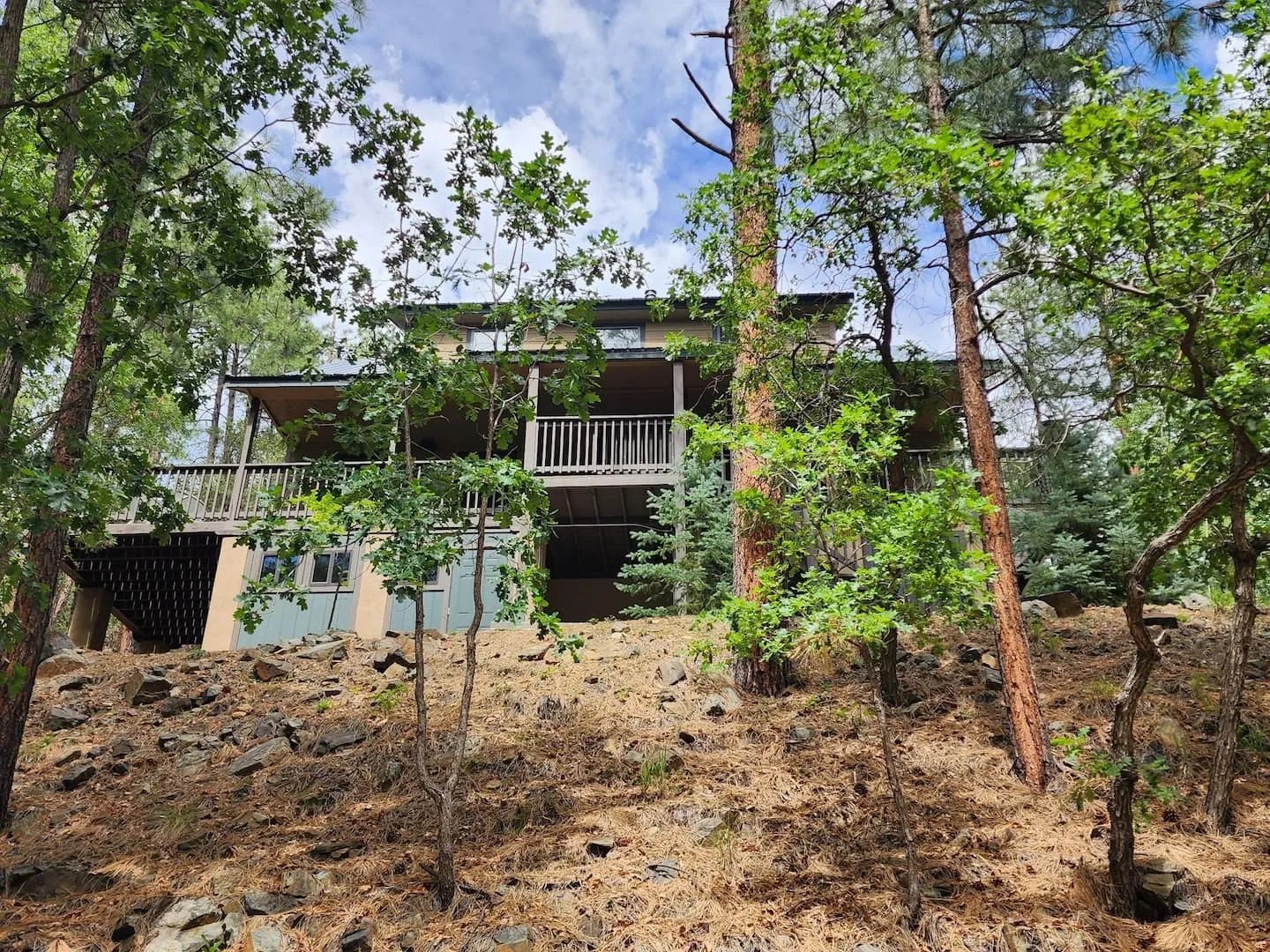 The forested high country around Prescott, Arizona