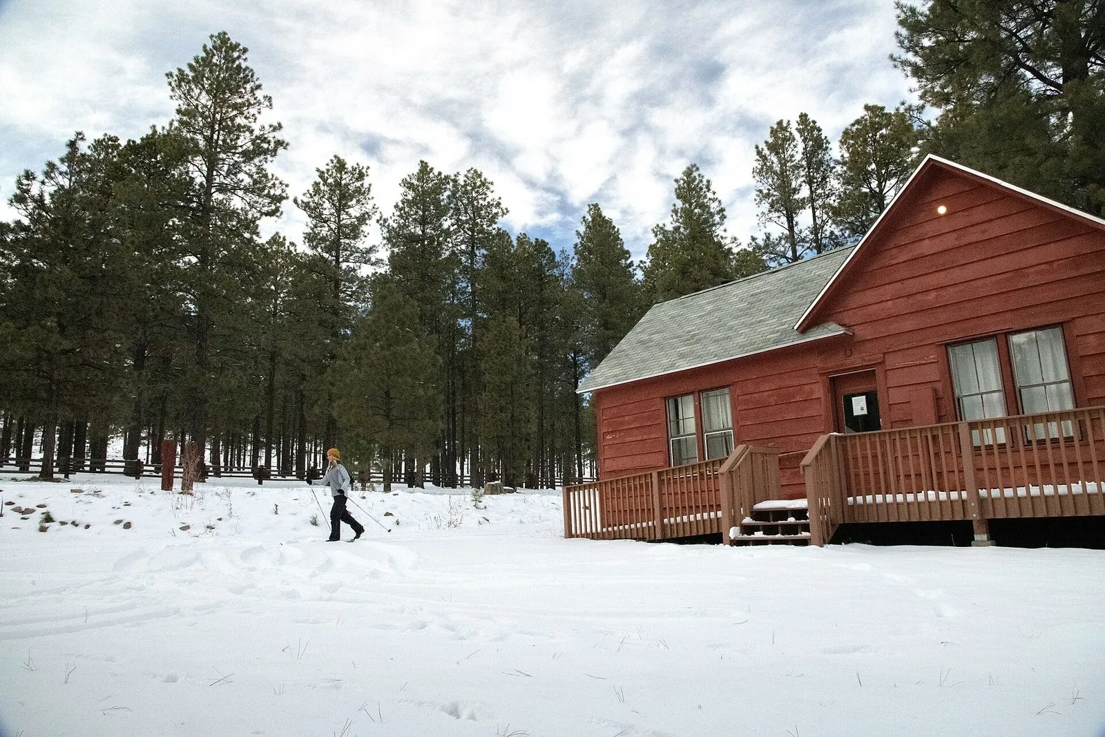 A timber cabin among ponderosa pines with snow on the ground