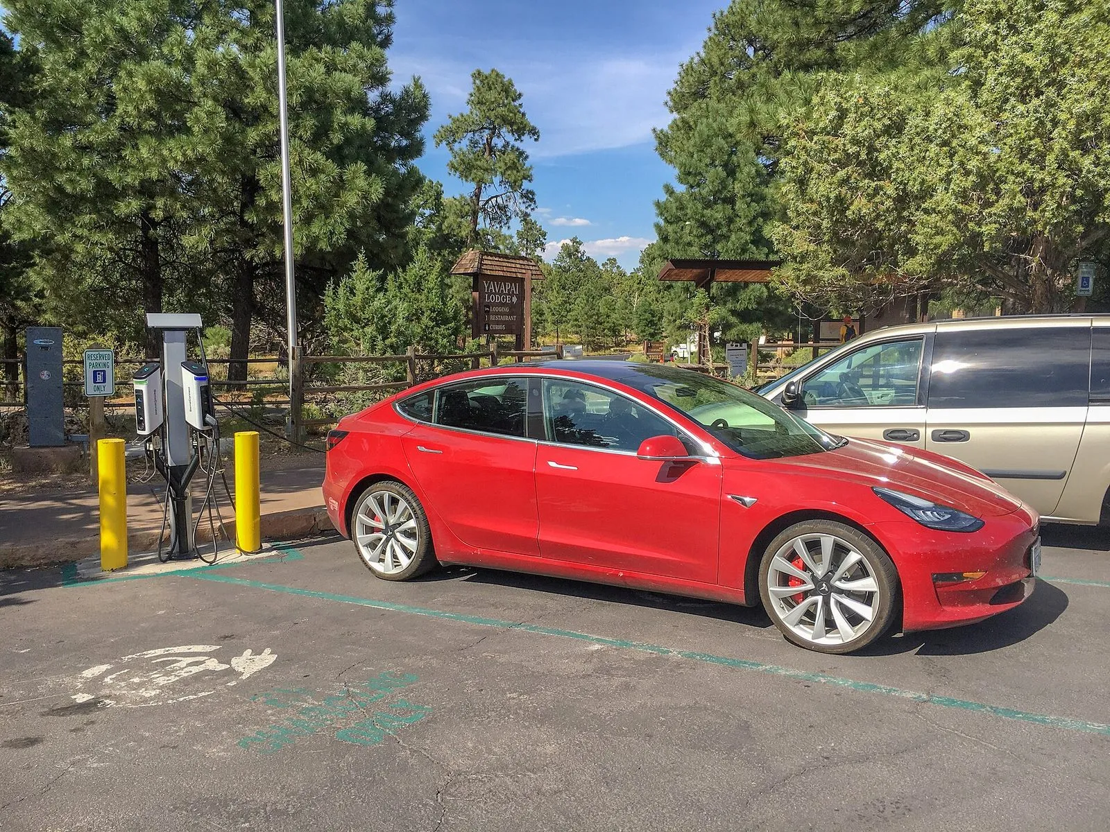 An electric car plugged into a charging station in a car park surrounded by pine trees